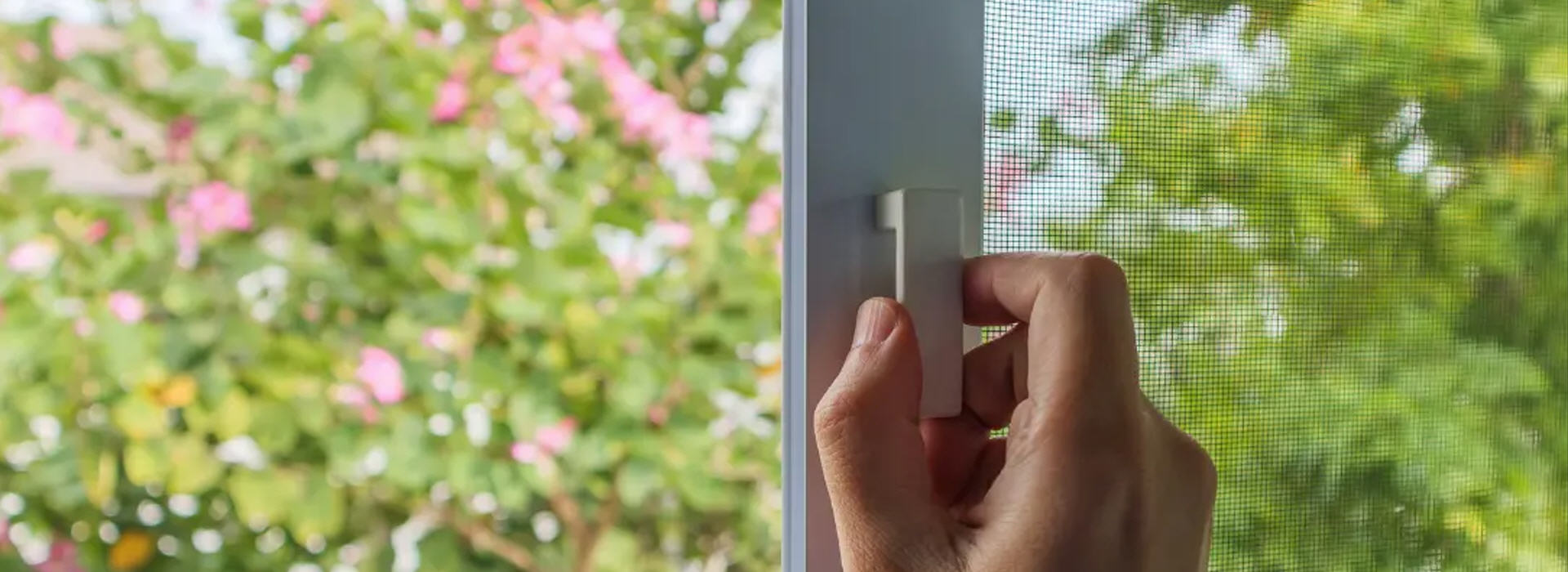 Komarnici Niksic Crana Gora